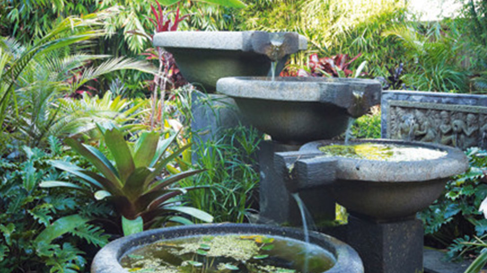 Landscape Design and Construction Services Bamboo South Coast