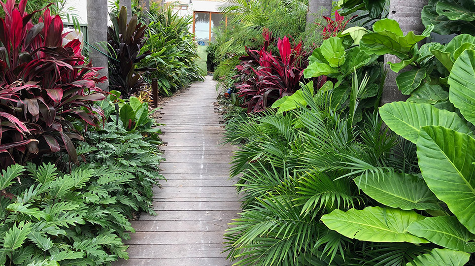 Landscape Design and Construction Services Maroubra by Bamboo South Coast