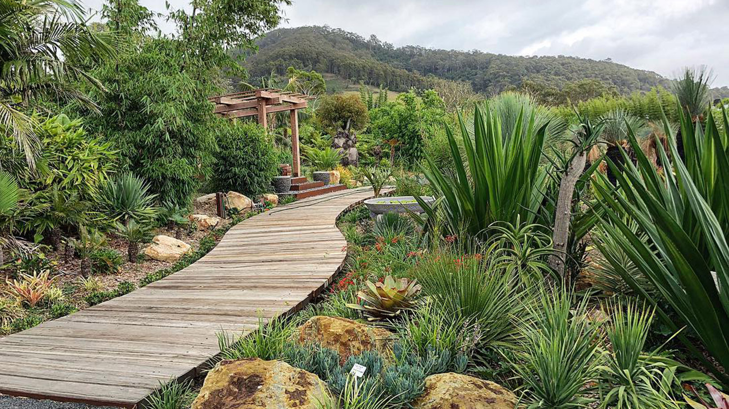 Landscaping Services – Bamboo South Coast