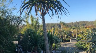 210C6EF0-3D1B-4EB2-9BF8-490927B0550F