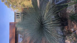 9FD34E91-3107-45FF-87A1-06A132D7CEF3