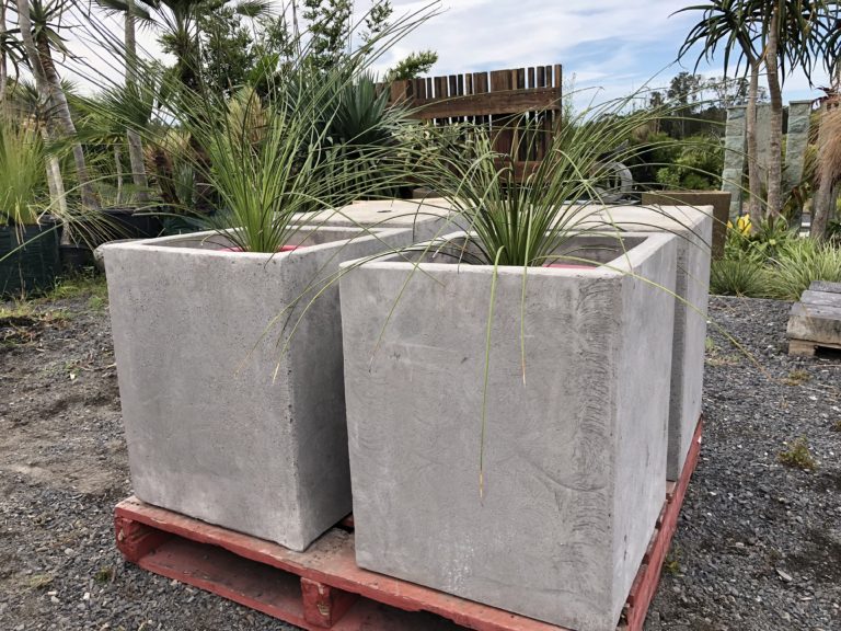 Planter Box Concrete smooth finish Bamboo South Coast