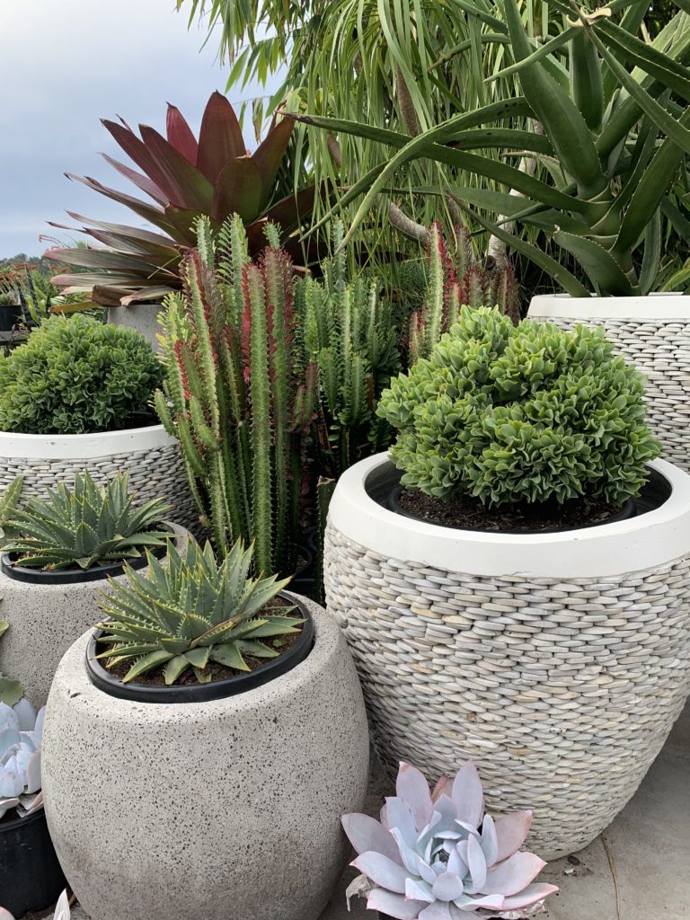 Mixing white pebble with other pots is stunning