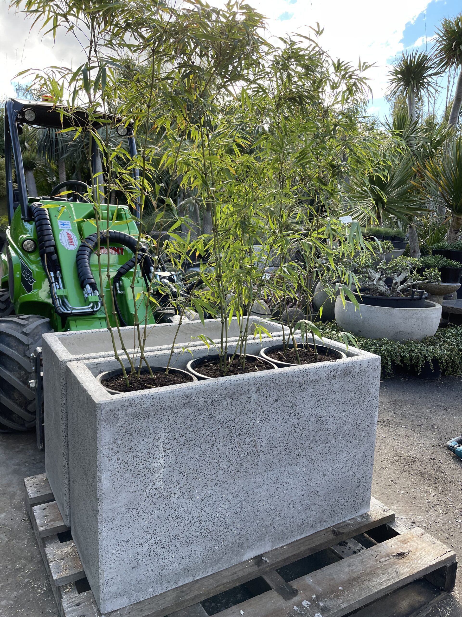 Planter Box Concrete smooth finish - Bamboo South Coast